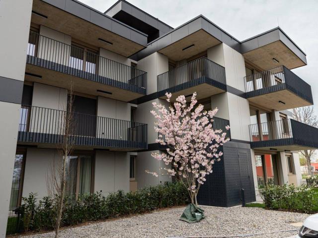 Apartment kaufen in Achau