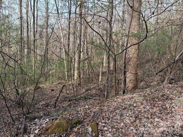 Land for sale in Cullowhee, North Carolina
