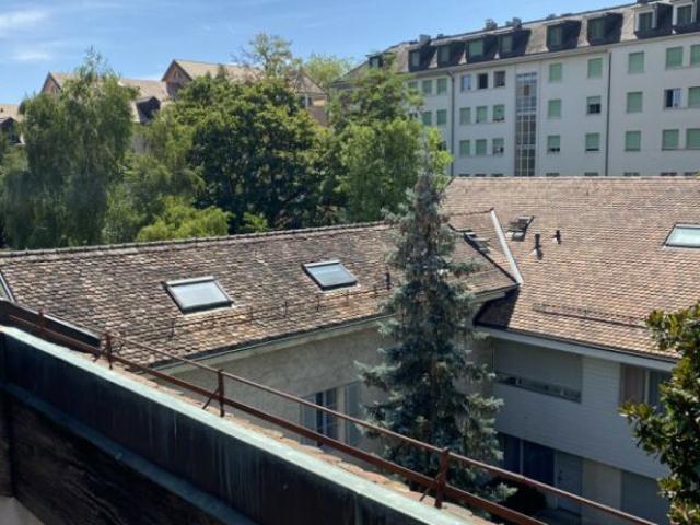 Wohnung mieten in Carouge (GE)