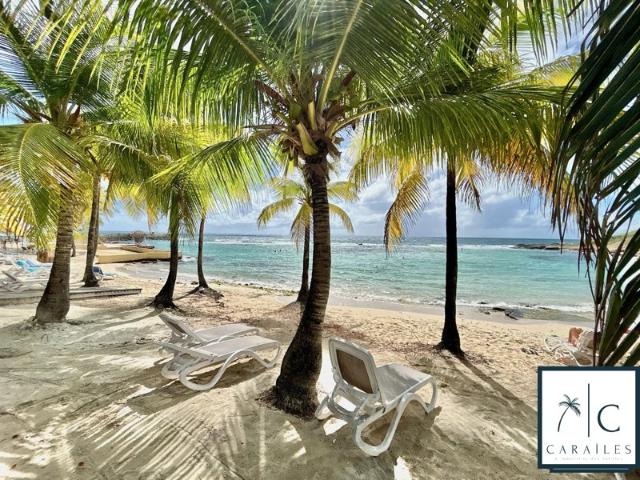Appartement vente à Guadeloupe