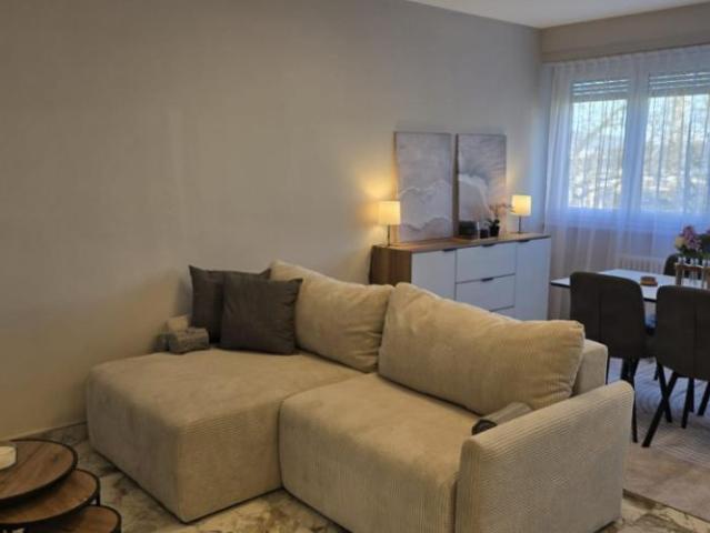Apartment mieten in Mategnin, Meyrin