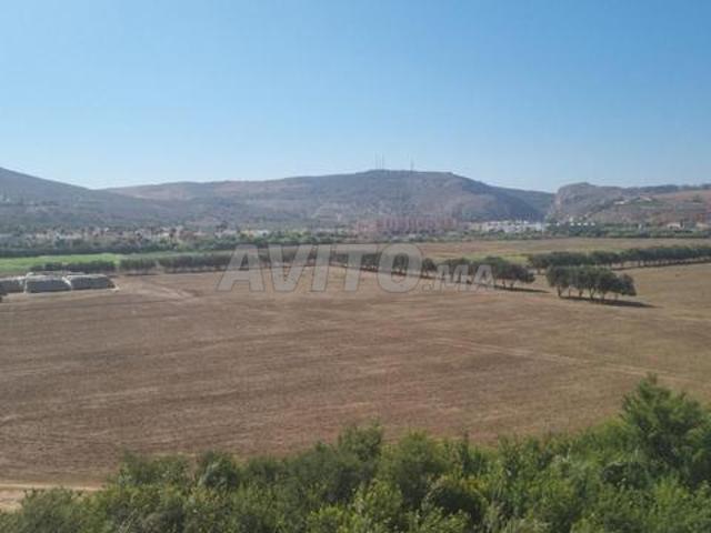 Appartement location à Saida