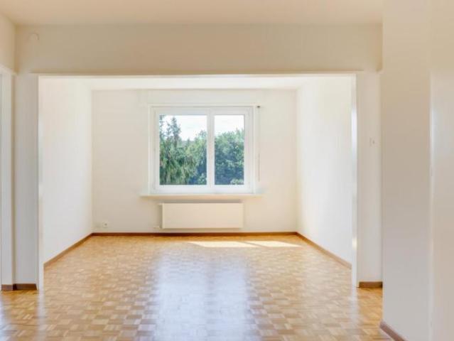 Apartment mieten in Neuchâtel, Corcelles (NE)
