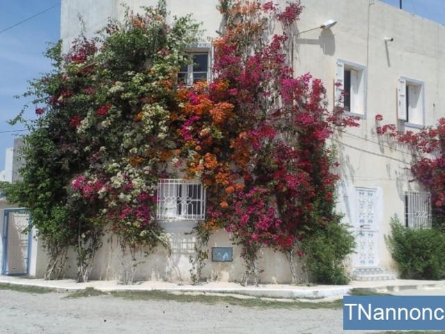 Appartement location