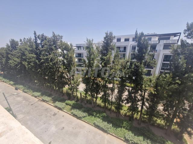 Appartement location à Rbat