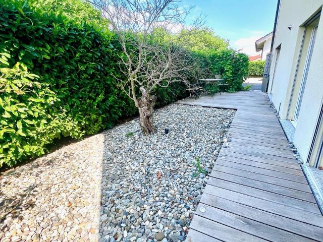 Apartment mieten in Noville, Waadt