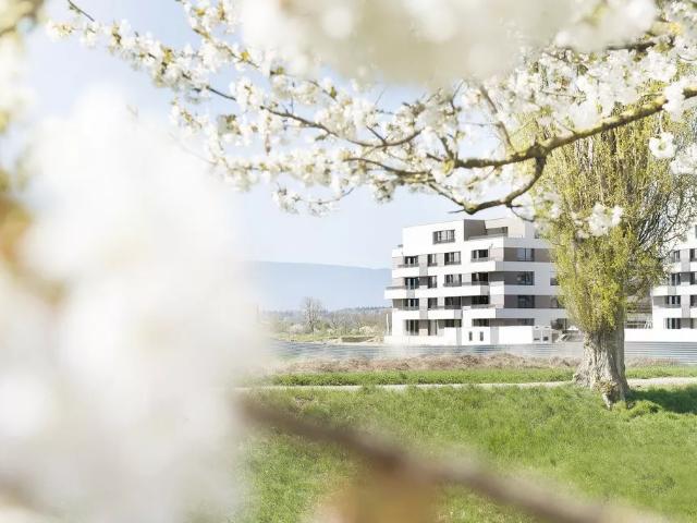 Apartment mieten in Payerne, Waadt
