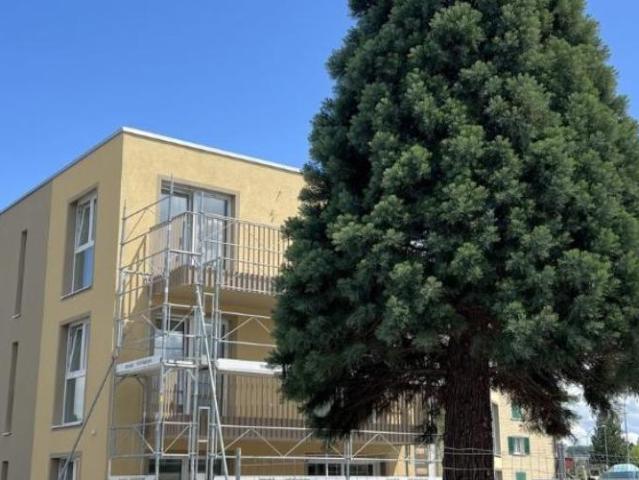 Apartment mieten in Belmont-Yverdon, Waadt