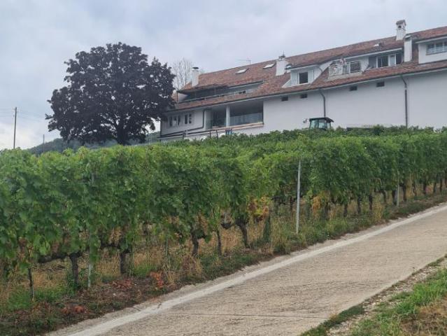 Apartment mieten in Essertines-sur-Rolle, Waadt