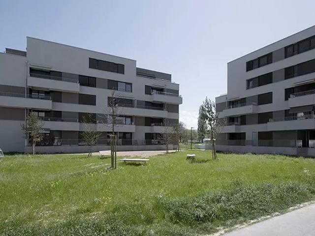 Apartment mieten in Payerne, Waadt