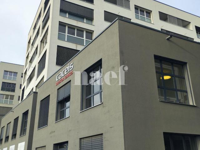 Apartment mieten in Nyon, District de Nyon
