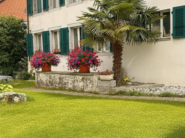 Apartment mieten in Grandcour, Waadt