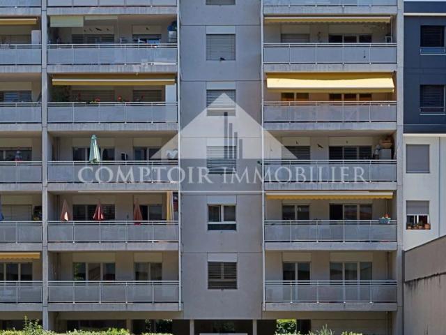 Apartment mieten in Carouge (GE)