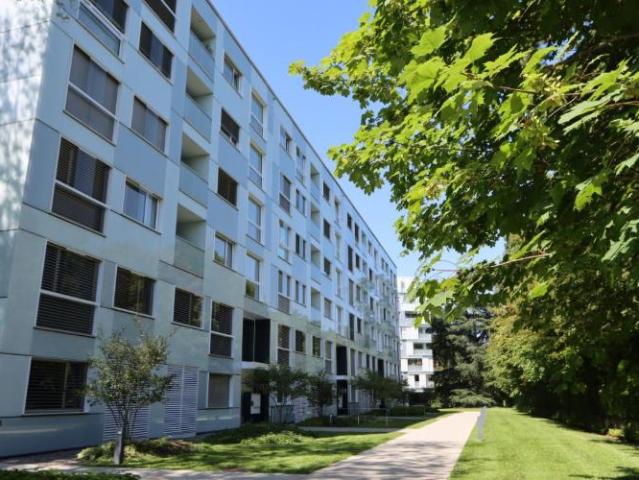 Apartment mieten in Malagnou, Chêne-Bougeries