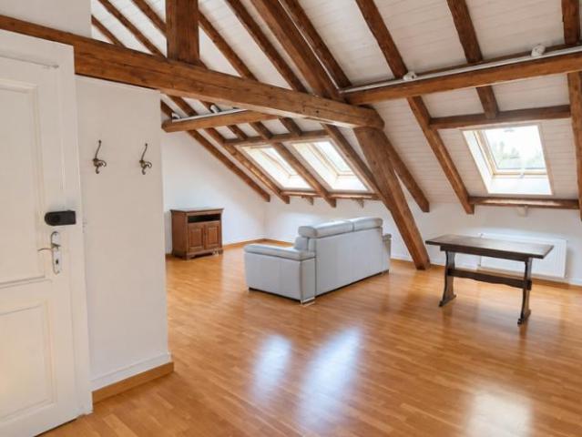 Apartment mieten in Moillesulaz, Thônex