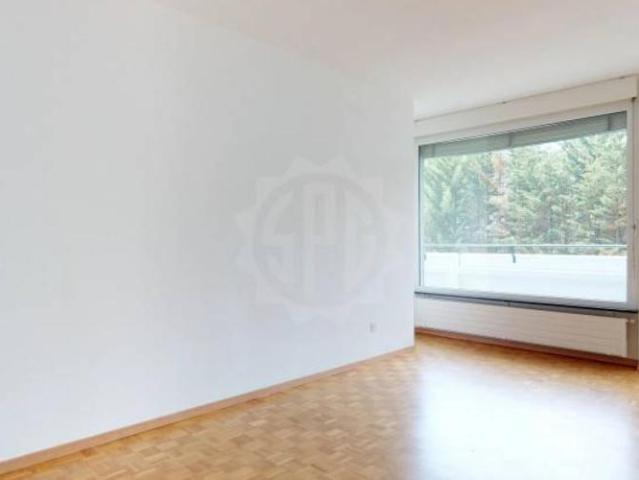 Apartment mieten in Le Petit-Saconnex, Genève