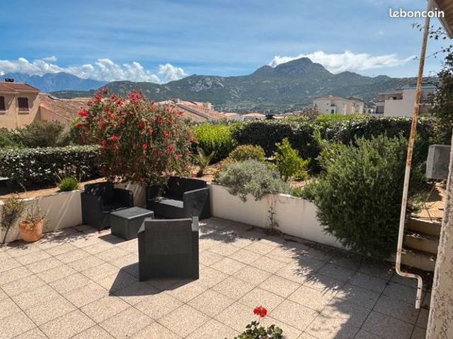 Appartement vente à Calvi