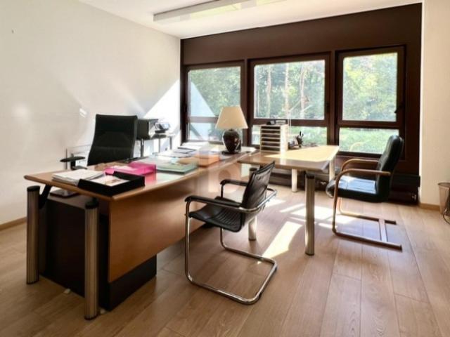 Büro mieten in Genève, Conches