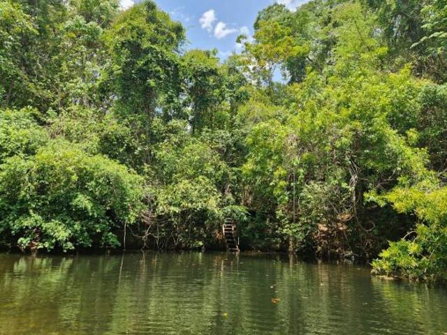 Sítio e chácara venda em Região Geográfica Imediata de Flores de Goiás, Alto Paraíso de Goiás