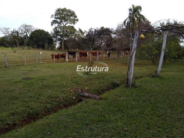Sítio e chácara venda em Região Geográfica Imediata de Santa Maria, Santa Maria