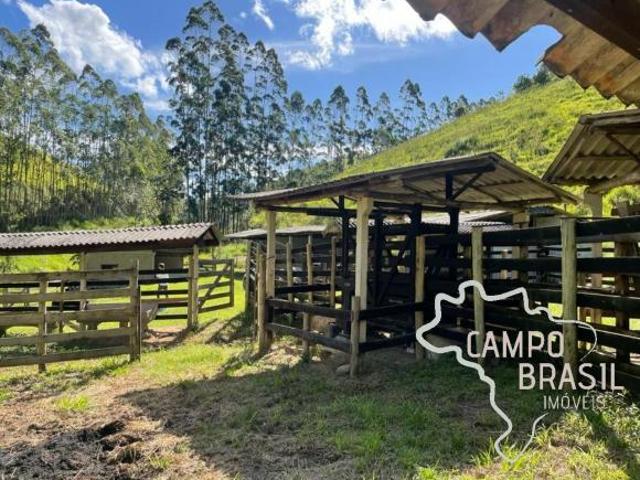 Sítio e chácara venda em Região Imediata de Taubaté-Pindamonhangaba, Região Metropolitana do Vale do Paraíba e Litoral Norte