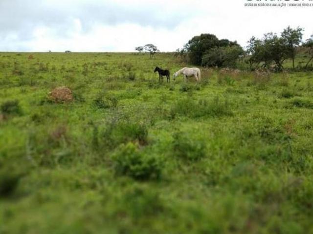 Sítio e chácara venda em Região Geográfica Imediata de Juiz de Fora, Lima Duarte