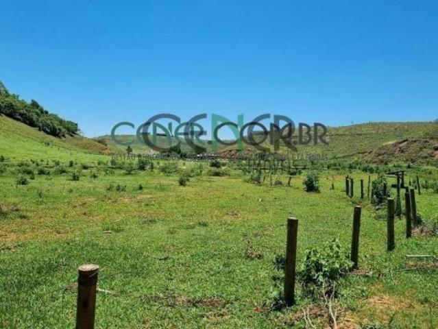 Sítio e chácara venda em Região Geográfica Imediata de Ponte Nova, Ponte Nova
