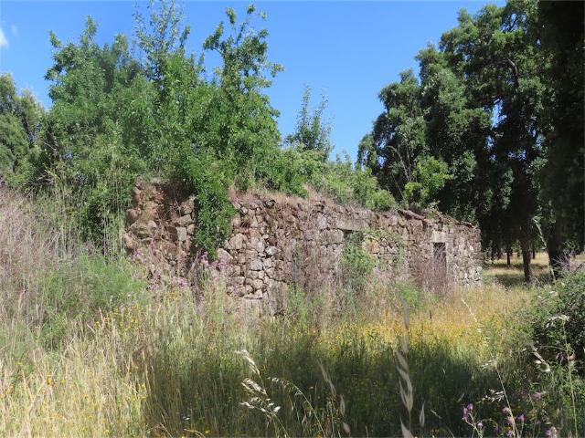 Quinta venda em Bairro do Barrocal, Castelo Branco