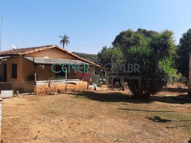 Sítio e chácara venda em São Vicente, Baldim