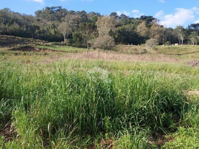 Sítio e chácara venda em Região Geográfica Imediata de Bento Gonçalves, Veranópolis