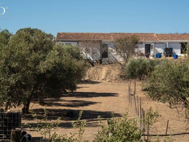 Vivenda venda em São Miguel Do Pinheiro, Beja