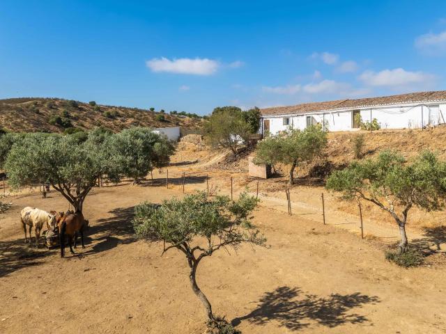 Casa venda em São Miguel Do Pinheiro, Beja