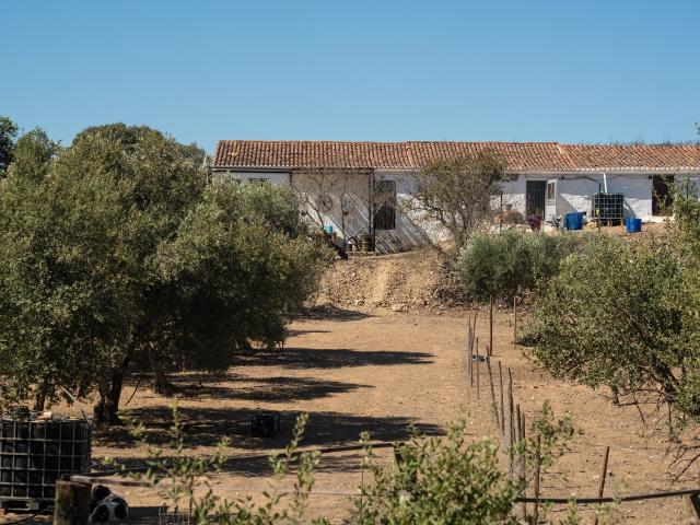 Casa venda em Beja