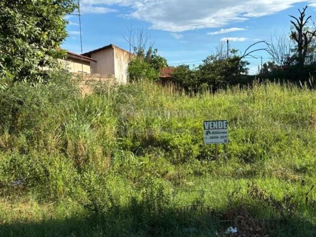 Terreno venda em Região Imediata de Dracena, Panorama