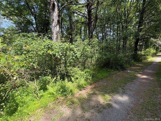 Land for sale in Glen Spey, New York