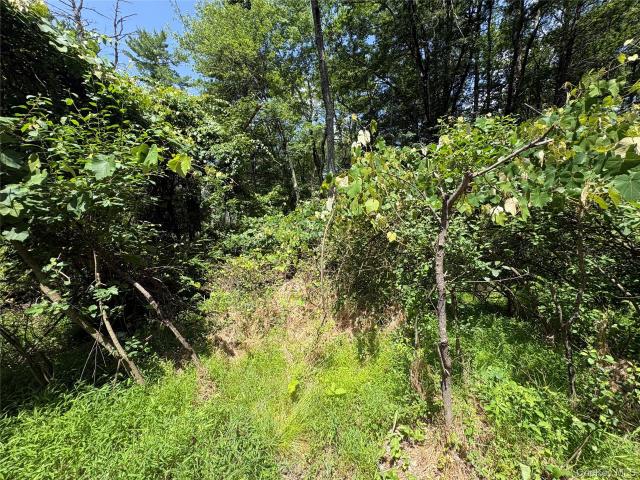 Land for sale in Glen Spey, New York
