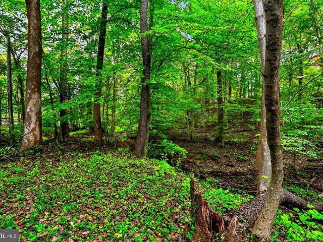Land for sale in Perry Hall, Maryland