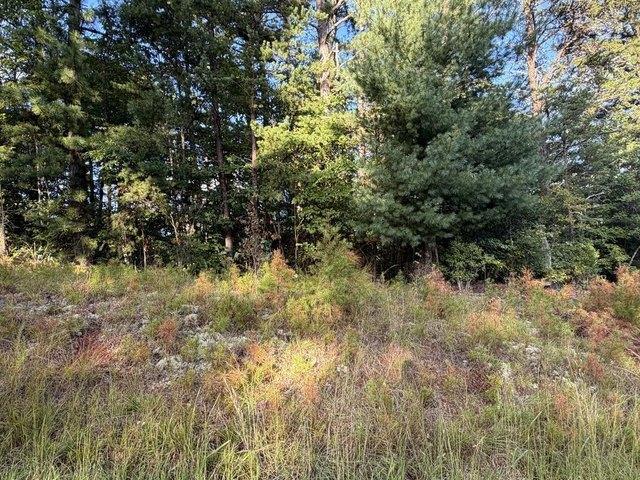 Land for sale in Copperhill, East Tennessee