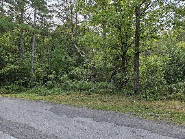Land for sale in Tennessee