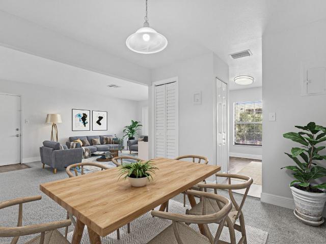 Apartment for rent in Tampa, Florida