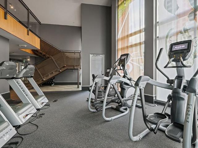 Apartment for rent in Bellevue, Washington