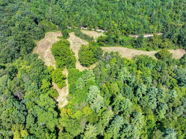 Land for sale in Tellico Plains, East Tennessee