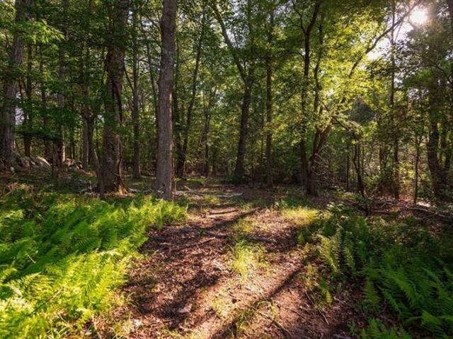 Land for sale in Essex, Massachusetts