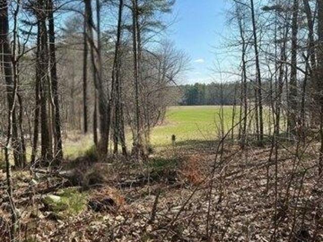 Land for sale in Belchertown, Massachusetts