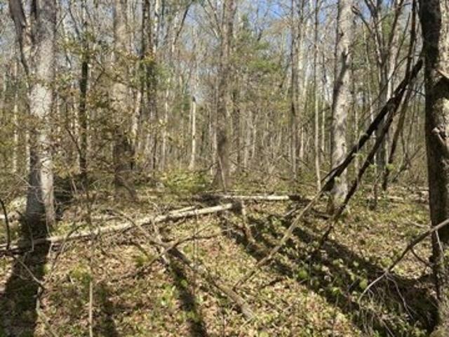 Land for sale in Ware, Massachusetts