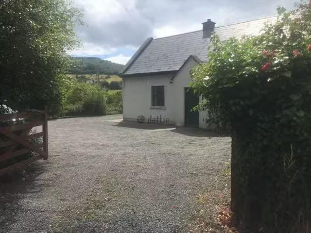 House to rent