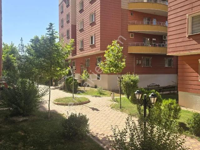 Batman Merkez, Batman içerisinde kiralık mülk