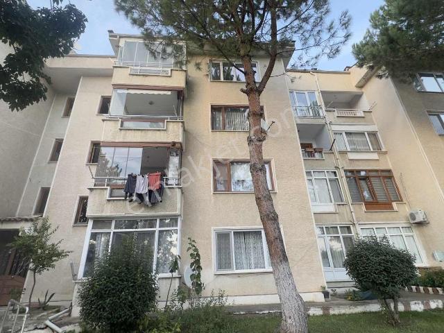 Yunusemre Mahallesi, İnegöl içerisinde kiralık mülk