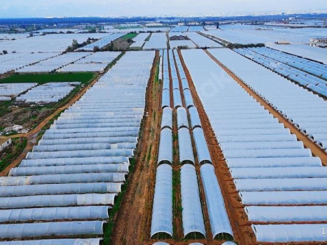 Serik, Antalya içerisinde satılık Arsa
