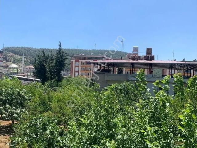 Halilbey, Belen içerisinde kiralık mülk